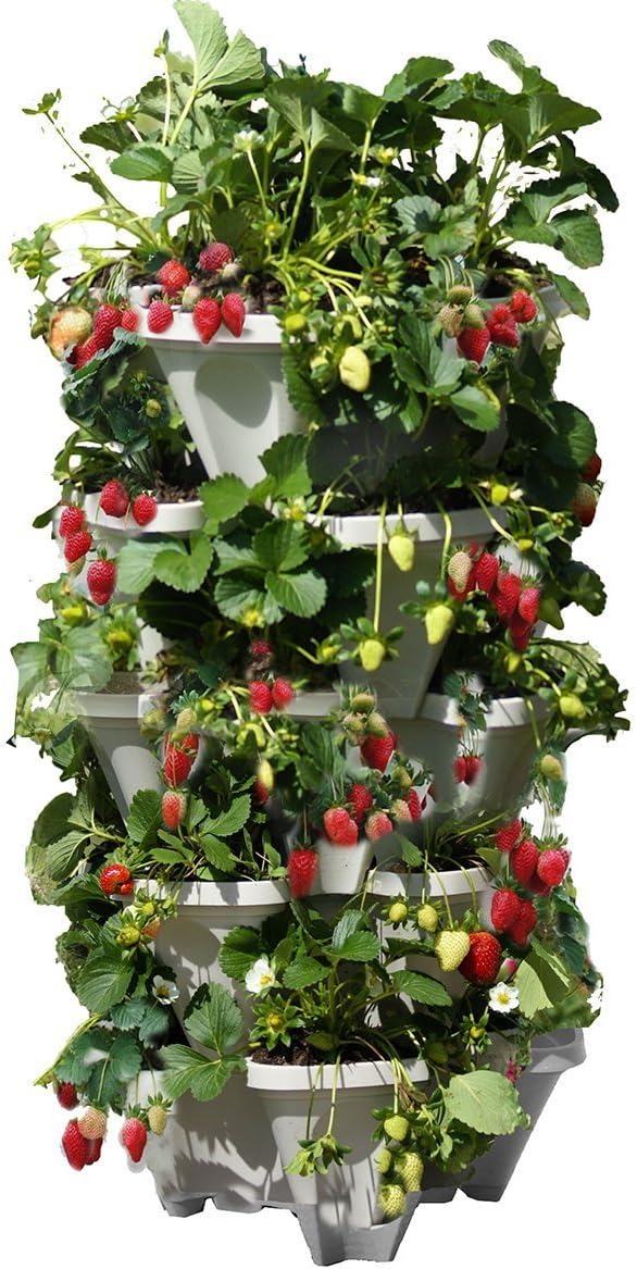 Mr. Stacky 5 Tiered Vertical Gardening Planter, Indoor & Outdoor by Mr.+Stacky