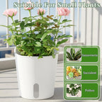 SHENLIU 3" Self Watering Pots, 20 Sets Plastic Self Watering Planters - Image 6