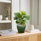 6 Inch Plant Pot - Image 3