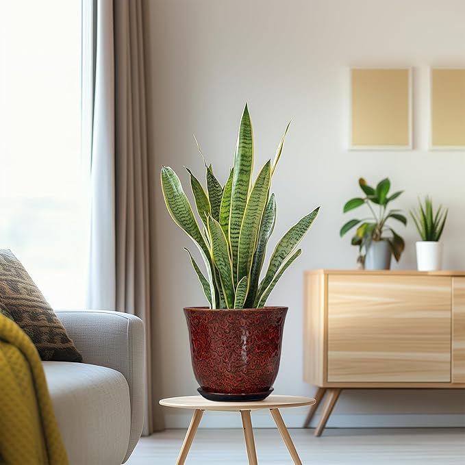 Ceramic Planter - Image 5