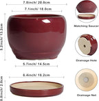 SQOWL Ceramic Planter - Image 3