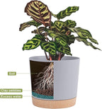 QCQHDU 12 inch Plant Pot, 2 Pack Planters - Image 4