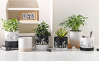 Nihow Ceramic Plant Pot: 6 Inch Planter - Image 6