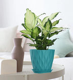 7 Inch Plant Pots 5 Pack, Flower Planters - Image 4