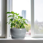 SQOWL 10 Inch Plant Pot - Image 4