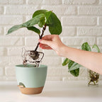 Self Watering Planter Pots Set of 5 - Image 6