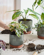 LE TAUCI Ceramic Plant Pots - Image 4