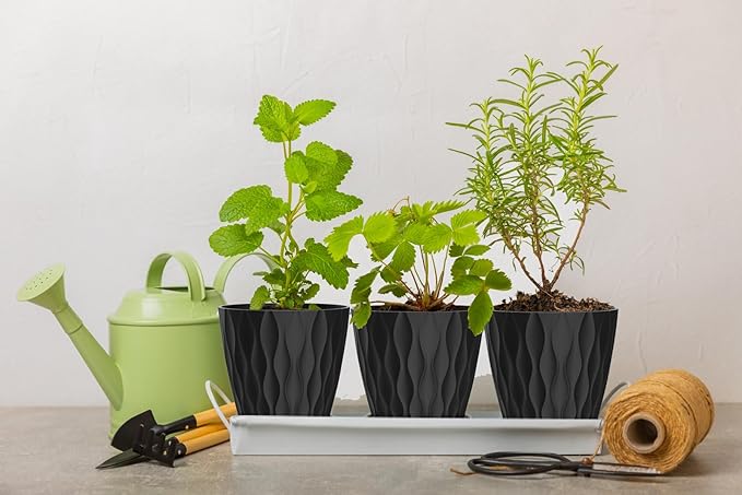 4 Inch Plant Pots, 6 Pack Indoor Flower Pots, Planters - Image 5