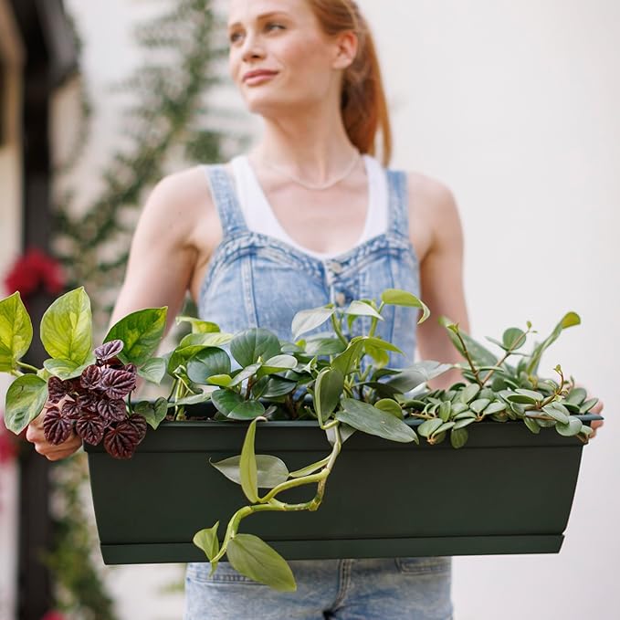 Bloem Dayton Window Box Planter: 24" - Image 2
