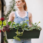Bloem Dayton Window Box Planter: 24" - Image 2