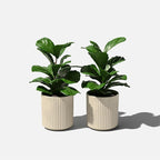 Veradek Demi Series Round Planter - Image 8