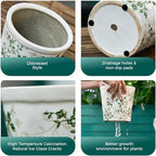 Ceramic Planter with Drainage Hole, Plastic Tray & Mesh, 6 Inch - Image 4