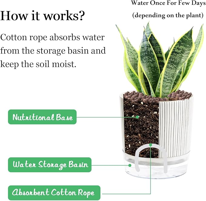 Self Watering Pots for Indoor Plants, 6 & 5 & 4 Inch Stylish Flower Pots - Image 6