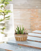vensovo 10 Inches Brown Metal Rustic Plant Pots - Image 4