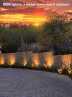 LEONLITE 5CCT Low Voltage LED Landscape Spotlight, Update - Image 3