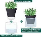 D'vine Dev 4 Inch Design Self Watering Planter - Image 5