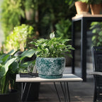 SQOWL 8 Inch Plant Pot - Image 5