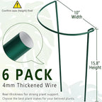 6 Pack Plant Support Stakes, 15.8" Half Round Metal Garden Plant Supports - Image 2