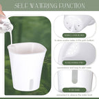 10 Pcs 3 Inch Self Watering Pots Self Watering Planters - Image 4