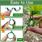 Plant Support Clips - Image 4