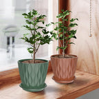 6 Pack 6 Inch Indoor Plant Pots - Image 8