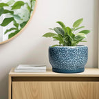 SQOWL Ceramic Planter - Image 7