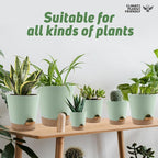 Indoor Self Watering Planters - Image 7