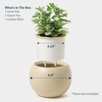 Ceramic Self Watering Plant Pot | 6.8 Inch Pot - Image 3