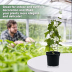 17.5 Inch Plant Trellis Indoor for Climbing Plants, Metal Trellis, Small Garden - Image 6