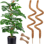 Soupiar 2 Pack 60'' Bendable Moss Pole by Soupiar