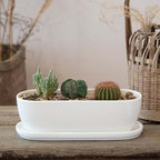 E-liu Ceramic Plant Pots, 11+14 inch, Planters - Image 8