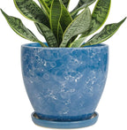 Ceramic Pots for Plants by EPFamily