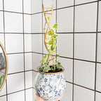 Indoor Plant Trellis for Potted Plants - Image 7