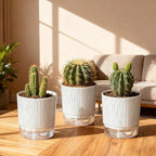 3 Pack Self Watering Pots Set, 4 Inch Self Watering Pots - Image 7