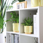 Gepege Indoor Pots for Plants, Ceramic Planter - Image 3