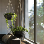 La Jolie Maison 10 Inch Hanging Planters - Image 5
