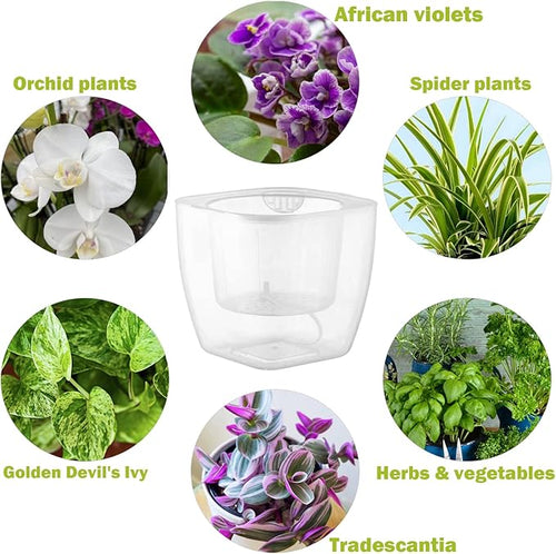 3-Pack Clear Self Watering Planters - Image 2