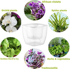 6-Pack 7 Inches Clear Self Watering Planters - Image 2