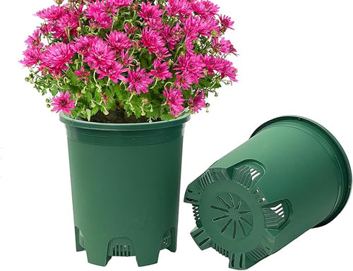 5 Gallon 10-Pack Green Nursery Pot Black Plastic Planters by CottaPlanters