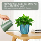 QCQHDU Self Watering Hanging Pots, 2 Pack 7.2 Inch Hanging Planters - Image 4