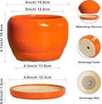 SQOWL Ceramic Plants Pots - Image 3