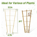 Avalution 10 Pack Bamboo Trellis - Image 6