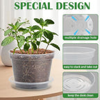 12 Pack 7 Inch Clear Nursery Pots - Image 3
