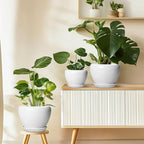Ceramic Pot for Plants - Image 8