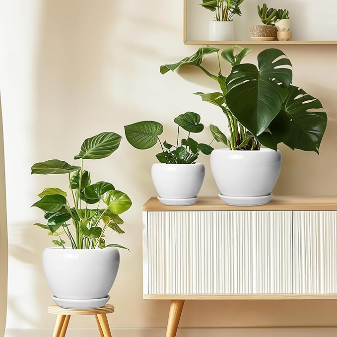Ceramic Pot for Plants - Image 8