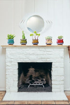 Cute Ceramic Succulent Garden Pots, Planter - Image 4