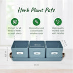 volila Herb Planter Indoor - Image 2