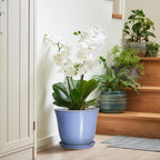 Ceramic Plant Pots - Image 6