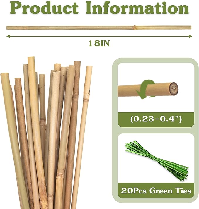 Plant Stakes 18inch, HAINANSTRY Plant Support Stakes - Image 2
