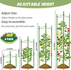Legigo 4ft 4-Pack Tomato Cage for Garden Plant Support- Up to 48inch Garden - Image 2